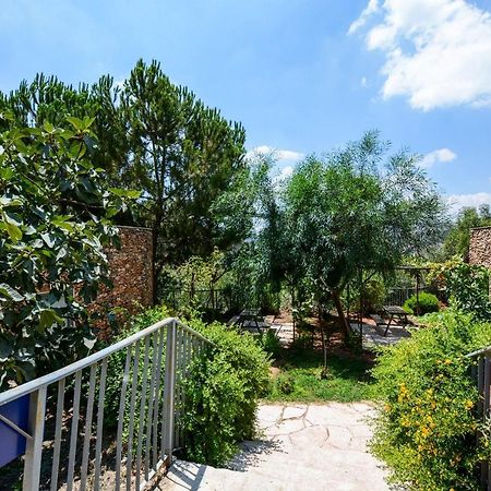 Tur Sinai Organic Farm Resort エルサレム エクステリア 写真