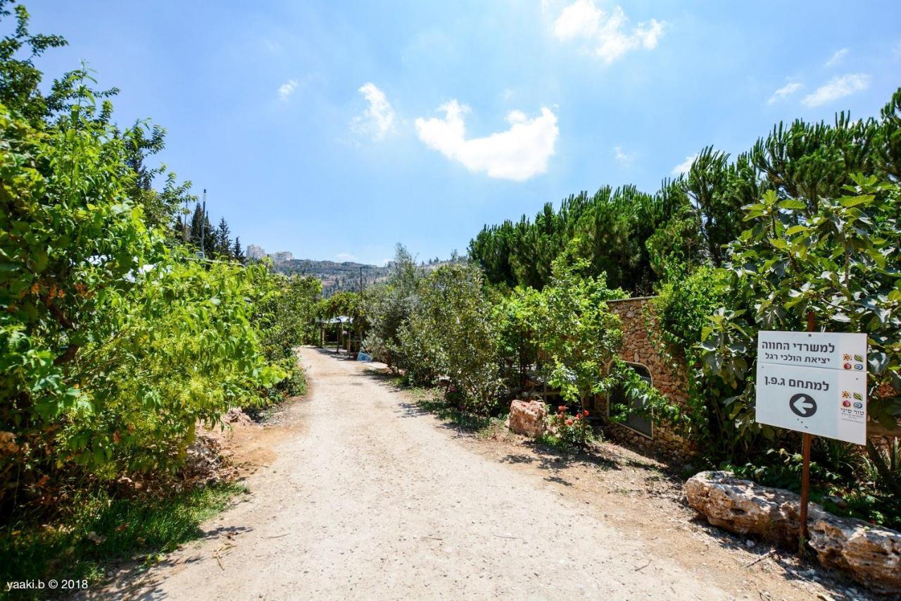 Tur Sinai Organic Farm Resort エルサレム エクステリア 写真