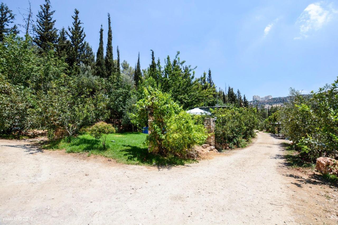 Tur Sinai Organic Farm Resort エルサレム エクステリア 写真